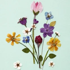 Sale 20 serviettes 3 plis Bunches 33x33 cm