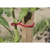 Sale NORTENE 25 tomato clips rouge