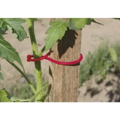 Sale NORTENE 25 tomato clips rouge