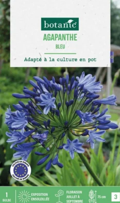 BOTANIC® Agapanthe coloris bleu - 1 bulbe