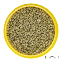 JBL Aliment en granulés pour Axolotl Pronovo lotl grano M – 250 ml