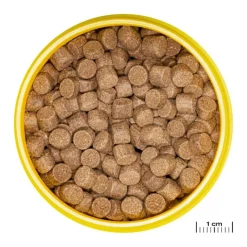 Hot JBL Aliment en granulés pour Axolotl Pronovo lotl grano XL – 250 ml