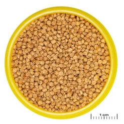 JBL Aliment pour poissons ProNovo Cichlid Grano S, petites tailles - - 52g / 100ml