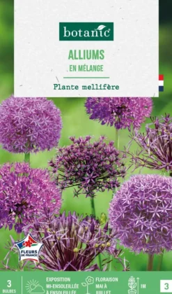 Clearance BOTANIC® Allium en mélange - 3 bulbes