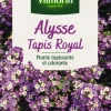 Online VILMORIN Alysse Tapis Royal - graines à semer