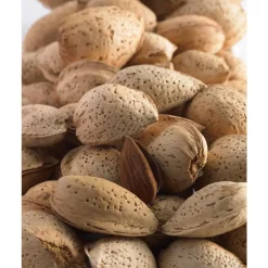 Online BOTANIC® Amandier Texas. Le pot de 15 litres