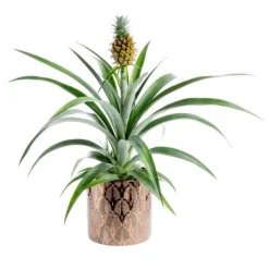 Online Ananas avec cache pot en céramique Ø12cm