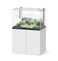 Best AQUATLANTIS Aquarium avec meuble en bois coloris blanc Aquascape 100 PRO 410 L -100 x 64 x 83 cm