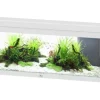 Sale AQUATLANTIS Aquarium coloris blanc Prestige LED 2.0 170 L - 120 x 40 x 45 cm