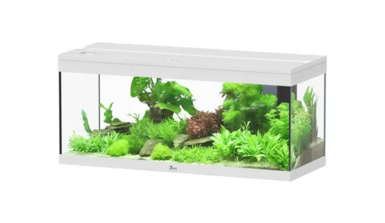 Sale AQUATLANTIS Aquarium coloris blanc Prestige LED 2.0 144 L - 100 x 40 x 40 cm