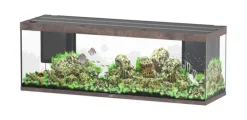 New AQUATLANTIS Aquarium coloris chêne foncé Sublime Ultra LED 2.0 675 L - 200 x 60 x 75 cm