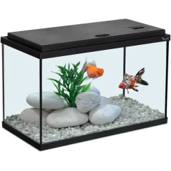 Discount AQUATLANTIS Aquarium coloris noir 20L - 40 x 20 x 25 cm