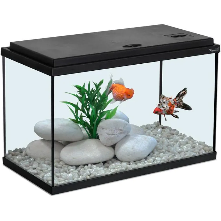 Discount AQUATLANTIS Aquarium coloris noir 20L - 40 x 20 x 25 cm