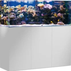 Sale BLUE CORAL Aquarium de 375 litres avec son meuble et sa cuve de filtration d'un volume de 85 litres