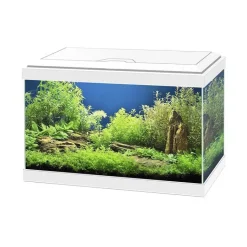 Sale CIANO Aquarium équipé Aqua 20 light blanc - 17L