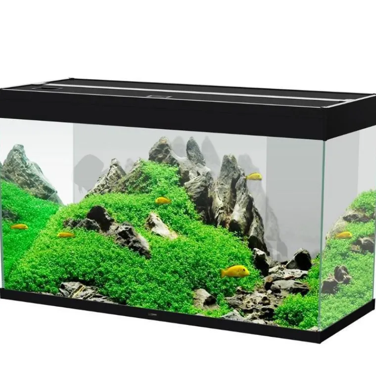 New CIANO Aquarium équipé Émotions Pro 100 noir - 201 L