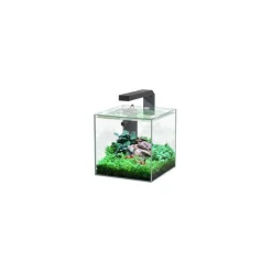 Best AQUATLANTIS Aquarium équipé Nano - 22L