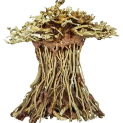 Online AQUADISTRIB Arbre bonsaï mushroom, taille S - marque SUPERFISH - décoration d'aquarium
