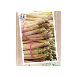 Best Asperge Verte Voltaire Bio. Le filet de 12 griffes