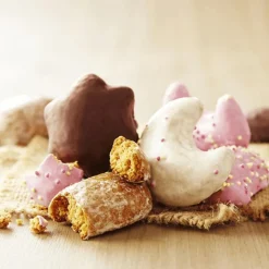 FORTWENGER Assortiment de pains d'épices au chocolat - sachet de 500 g