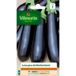 Hot VILMORIN Aubergine de Barbentane - graines à semer