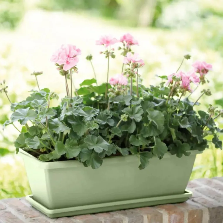 New ELHO Balconnière en polypropylène vert pistache Barcelona - 69,8 x 19 x 16 cm