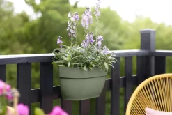 ELHO Balconnière plastique vert pistache Vibia Campana easy hanger large - 24,1 cm