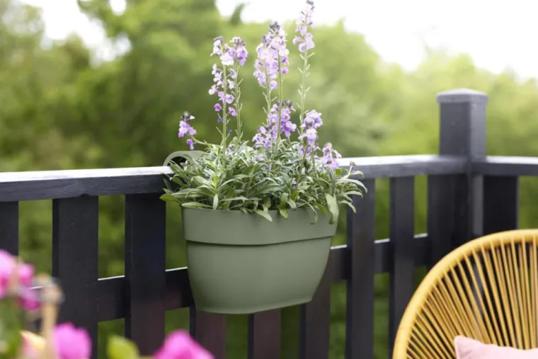 ELHO Balconnière plastique vert pistache Vibia Campana easy hanger large - 24,1 cm