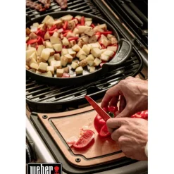 Best WEBER Barbecue à gaz noir Traveler Stealth