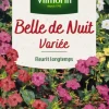 Best VILMORIN Belle-de-nuit Variée - graines à semer