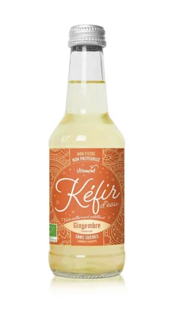 VITAMONT Boisson bio Kéfir gingembre – 25 cl