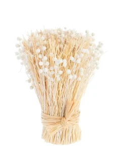 New Botte boutons de fleurs séchées coloris beige naturel - 14 x 14 x 20 cm