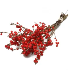 Sale AUTRES PRODUCTEURS Botte de houx d’ilex Verticilta coloris rouge – 5 tiges