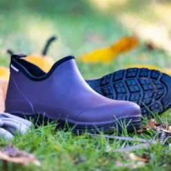 Outlet BLACKFOX Bottillons Oregon Aubergine