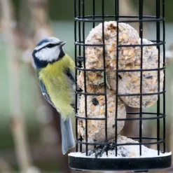 Discount Boules de graisses pour oiseaux de la nature - 100 boules