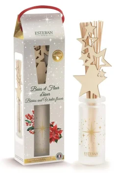 Discount ESTEBAN Bouquet parfumé et recharge Baies et fleurs d’hiver - 100 ml