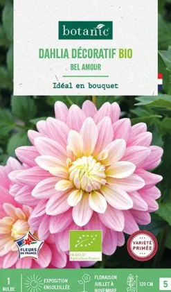 BOTANIC® Bulbe de fleurs Dahlia décoratif Bel Amour bio - 1 bulbe