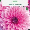Hot BOTANIC® Bulbe de fleurs Dalhia nain double Gai luron - 1 bulbe