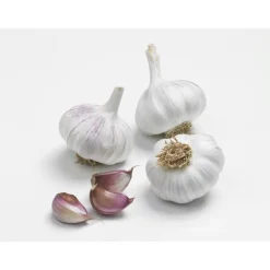 Hot BULBEO Bulbes d’ail rose gardos calibre 50+, 500 g