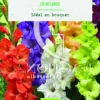 Online BOTANIC® Bulbes de fleurs Glaïeul grandes fleurs en mélange bio - 10 bulbes