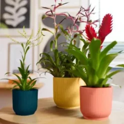 Online ELHO Cache pot rose poudré Vibes fold mini - Ø 11 cm