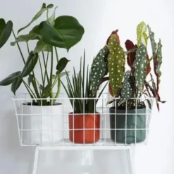 ELHO Cache pot vert leaf green b.for soft - Ø 14 cm