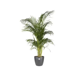 Hot ELHO Cache-pot Brussels rond Ø 16 x 14,6 cm polypropylène injecté