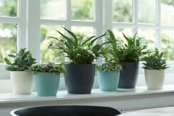 Hot ELHO Cache-pot Brussels rond Ø 16 x 14,6 cm polypropylène injecté