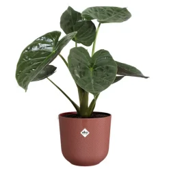 Discount ELHO Cache-pot coloris rouge Jazz - Ø 26 cm