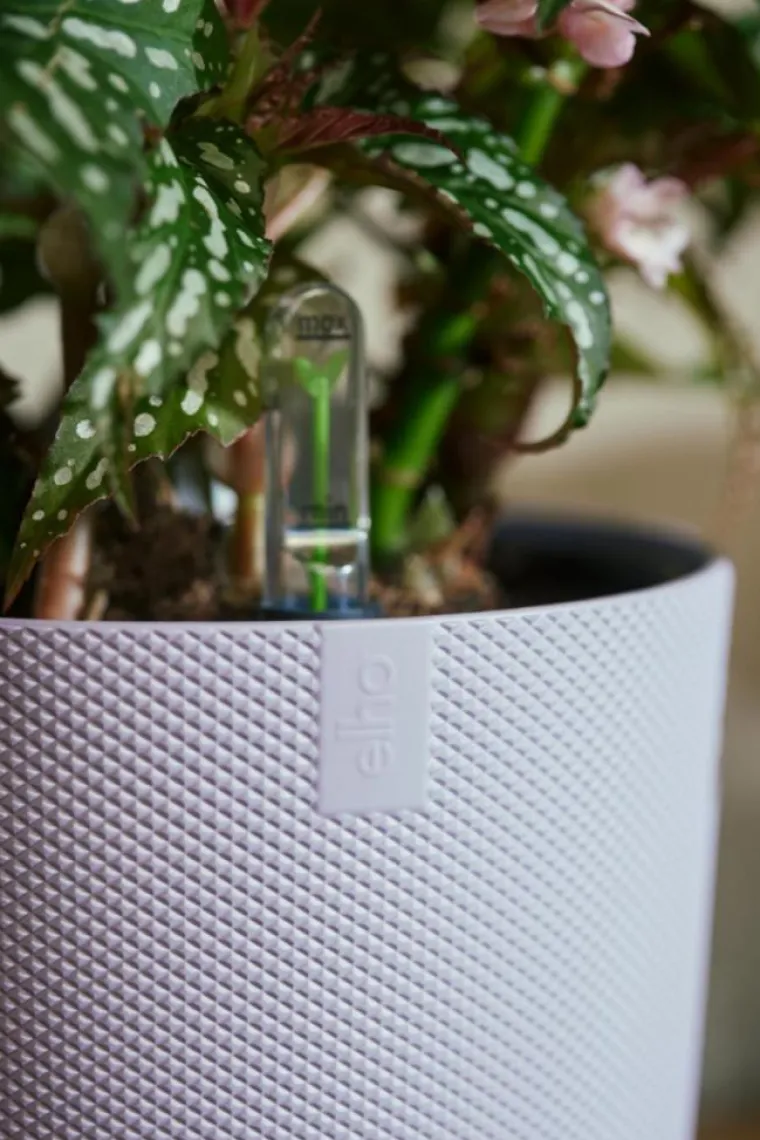 Outlet ELHO Cache-pot coloris violet Jazz - Ø 19 cm