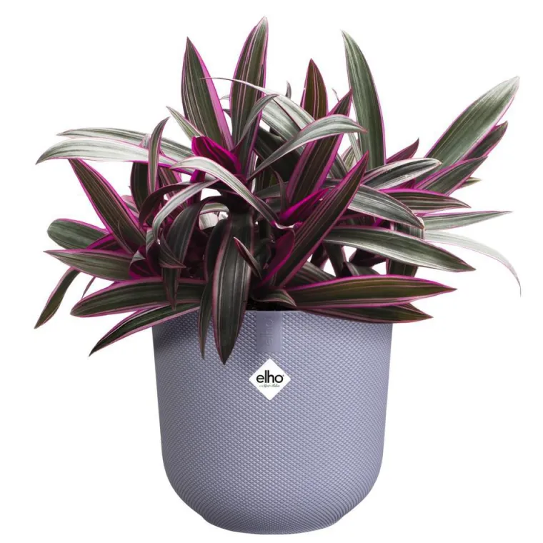 Outlet ELHO Cache-pot coloris violet Jazz - Ø 19 cm