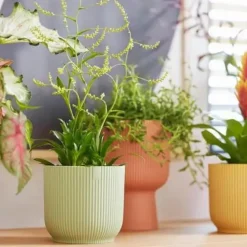 Sale ELHO Cache-pot en plastique recyclé vert sorbet Vibes fold rond- Ø 18 cm