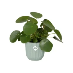 New ELHO Cache-pot en plastique recyclé vert sorbet Vibes fold rond mini - Ø 9 cm