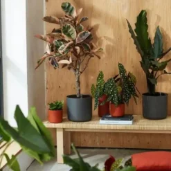 ELHO Cache-pot gris anthracite b.for soft - Ø 14 cm